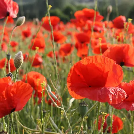 公寓 In Brusow An Der Ostseekueste *