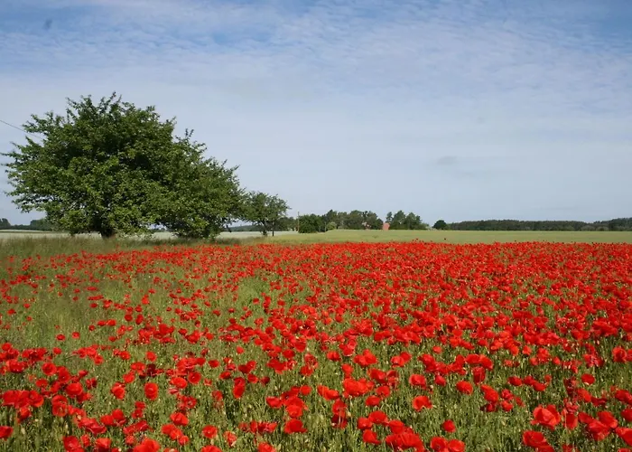 In Brusow An Der Ostseekueste